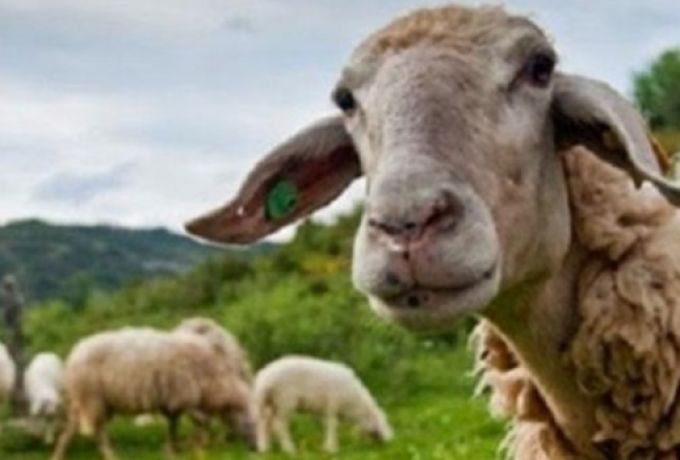 Υπουργείο Αγροτικής Ανάπτυξης &amp; Τροφίμων :Νέα ενίσχυση 26 εκατ. ευρώ για αποζημιώσεις κτηνοτρόφων λόγω ευλογιάς 