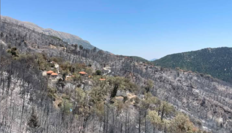 Δήμος Σικυωνίων: Από την υπόσχεση στην πράξη – Φορολογική ανάσα για τους πυρόπληκτους Στυμφαλίας και Φενεού