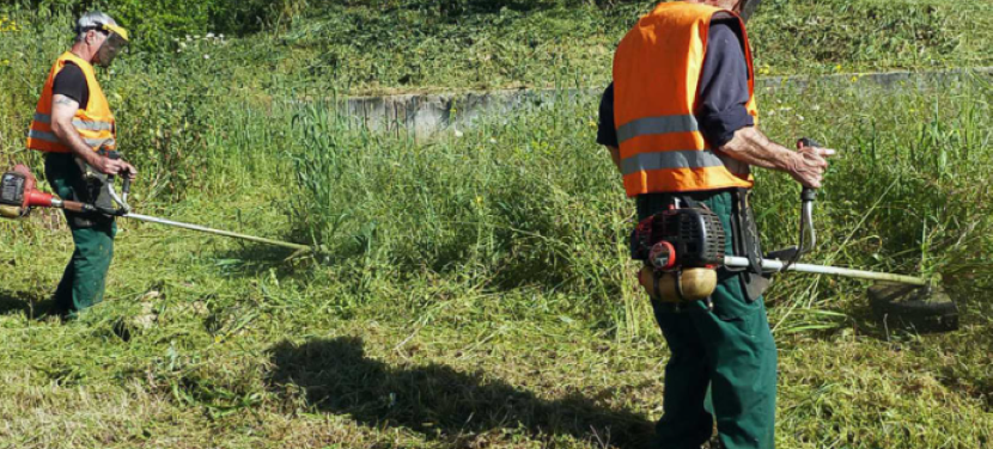 Ακαθάριστα οικόπεδα: Μέχρι 2.000 ευρώ το πρόστιμο – Τι προβλέπει το νέο νομοσχέδιο