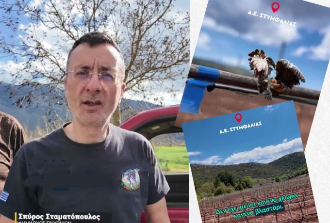 Ολοκληρωτική καταστροφή από τον παγετό σε Στυμφαλία και Φενεό – Έκκληση για άμεσες αποζημιώσεις από τον Δήμαρχο Σταματόπουλο