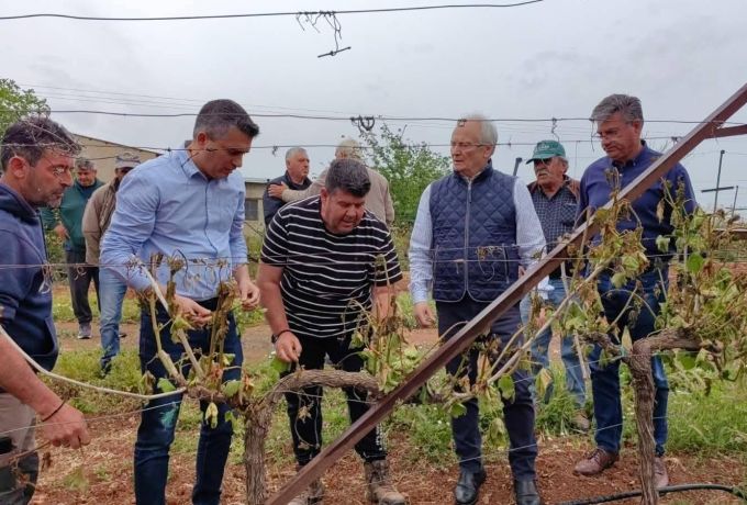 Αυτοψία Χρίστου Δήμα στις πληγείσες από τον παγετό περιοχές της Κορινθίας – «Αποκαρδιωτική η εικόνα»