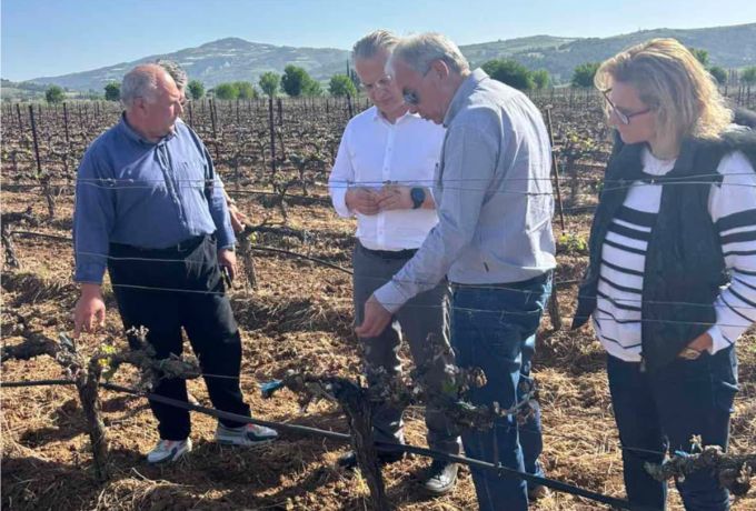 Στις πληγείσες από τον παγετό καλλιέργειες του Δήμου Νεμέας ο Περιφερειάρχης Πελοποννήσου Δημήτρης Πτωχός