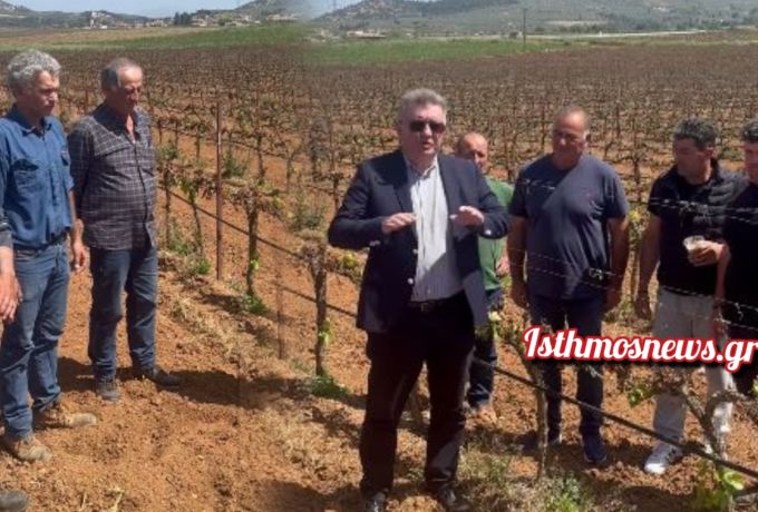Δήμαρχος Κορινθίων Νίκος Σταυρέλης: «Στο 100% οι ζημιές στους αμπελώνες – Άμεση παρέμβαση προς τον ΕΛΓΑ»