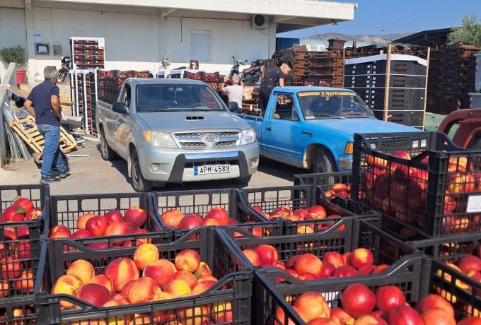 Δήμος Άργους – Μυκηνών: 60 τόνοι φρούτων δωρεάν σε ευάλωτες οικογένειες