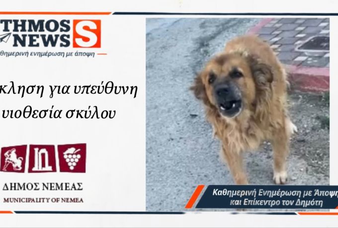 Δήμος Νεμέας: Έκκληση για υιοθεσία σκύλου με ιστορικό επιθετικής συμπεριφοράς