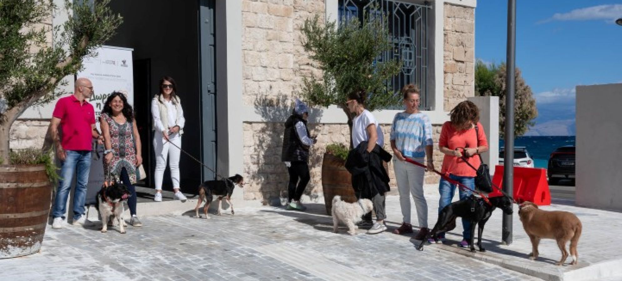 Δήμος Σικυωνίων: Δωρεάν τροφή για έναν χρόνο στους νέους κηδεμόνες αδέσποτων