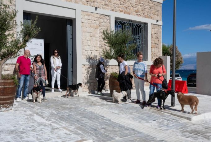 Δήμος Σικυωνίων: Δωρεάν τροφή για έναν χρόνο στους νέους κηδεμόνες αδέσποτων