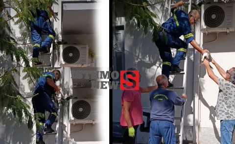 Μικρή διάσωση με μεγάλη καρδιά στο Λουτράκι: Ένα γατάκι σώθηκε χάρη στην άμεση συνεργασία Καθαριότητας και Πυροσβεστικής