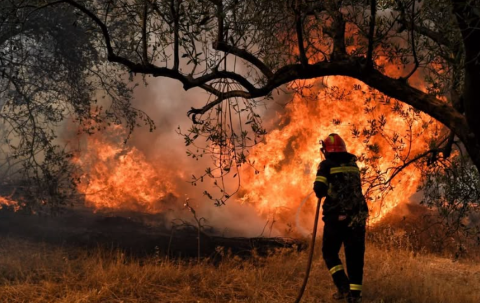 Προσοχή!!! Πολύ υψηλός κίνδυνος πυρκαγιάς την Κυριακή στο Δήμο Ξυλοκάστρου - Ευρωστίνης