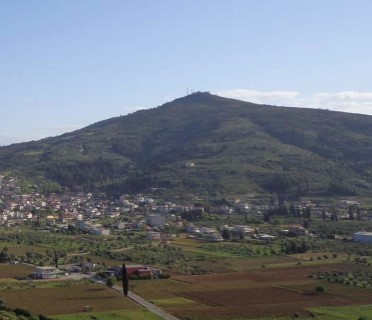 LOFOSAILIA