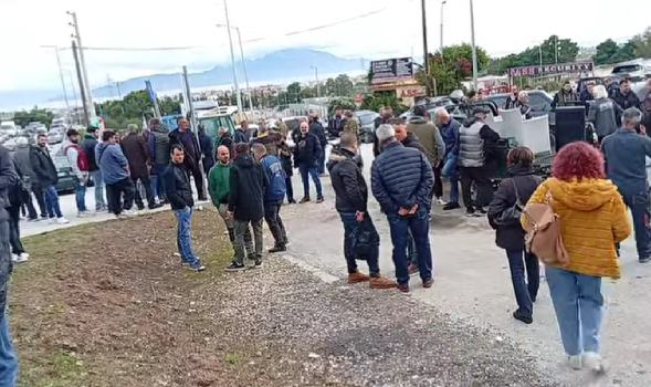 agaroteskaitokinitopoiisi2