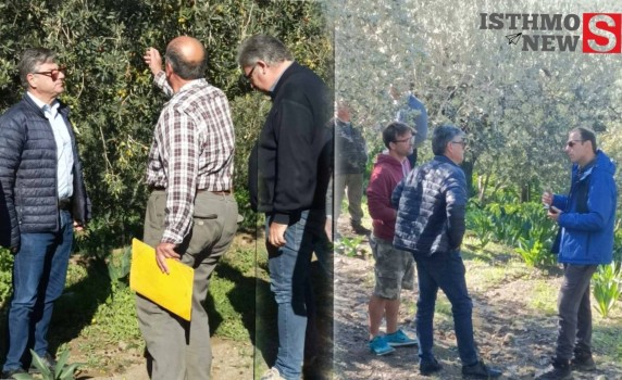 Μεγάλης έκτασης ζημιές στην Αργολίδα από τη χαλαζόπτωση – Αυτοψία του Αντιπεριφερειάρχη Αγροτικής Πολιτικής Σπύρου Ζαχαριά με κλιμάκιο του ΕΛΓΑ