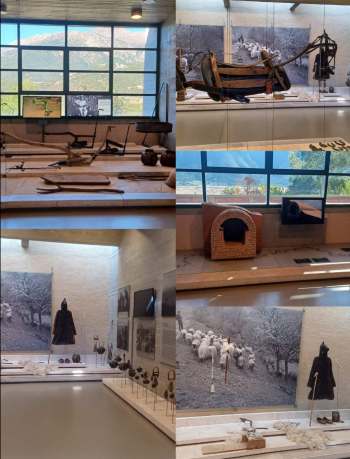 dimotikoloytrstimfalia