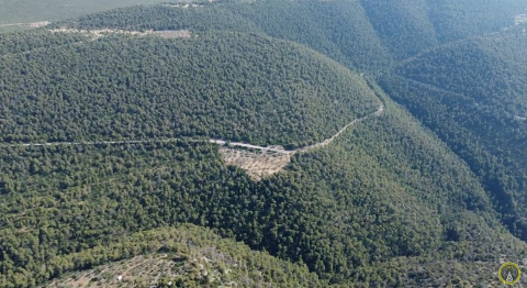 Περιπολία με drones στο δάσος Σολυγείας [Βίντεο] | Μια εθελοντική προσφορά της ΟΜΑΔΑΣ ΖΕΥΣ