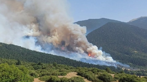 Καίγεται ο ορεινός όγκος στο Δήμο Σικυωνίων  - Σκηνές αγωνίας ζουν κάτοικοι και κτηνοτρόφοι 