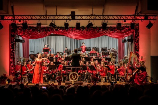 fialarmonikiloytraki chrisythmas