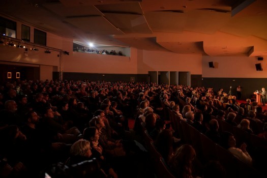 fialarmonikiloytraki chrisythmas1