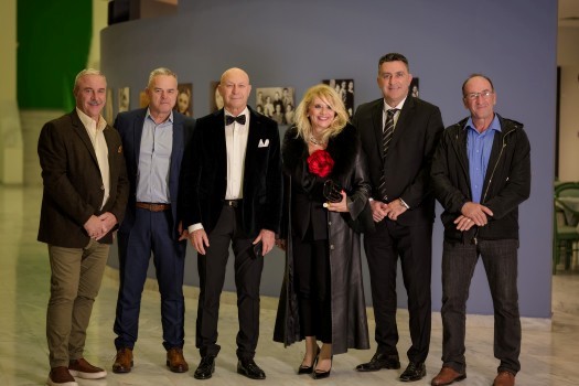 fialarmonikiloytraki chrisythmas4