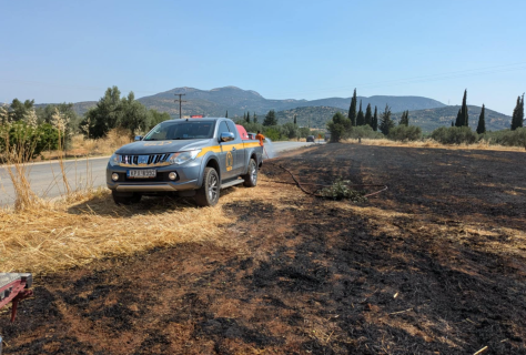 Υπό έλεγχο η πυρκαγιά κοντά στον Άγιο Βασίλειο – Άμεση κινητοποίηση εθελοντών και Πυροσβεστικής