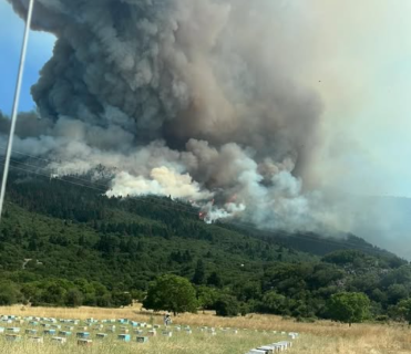 Έκτακτο Κάλεσμα από τον Δήμαρχο Σικυωνίων για την Αντιμετώπιση Πυρκαγιάς στην Περιοχή Μάτι (Γκιόζα)