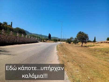 koinotitaaeaxamilai12