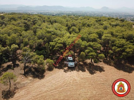 Καθημερινές Περιπολίες για την Προστασία των Δασών μας
