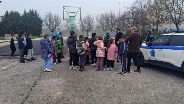 odikiasfaleia feneos 5