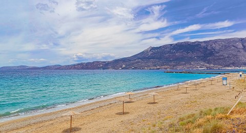 paralia posidonias