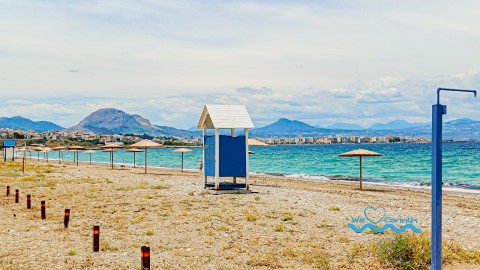 paralia posidonias1