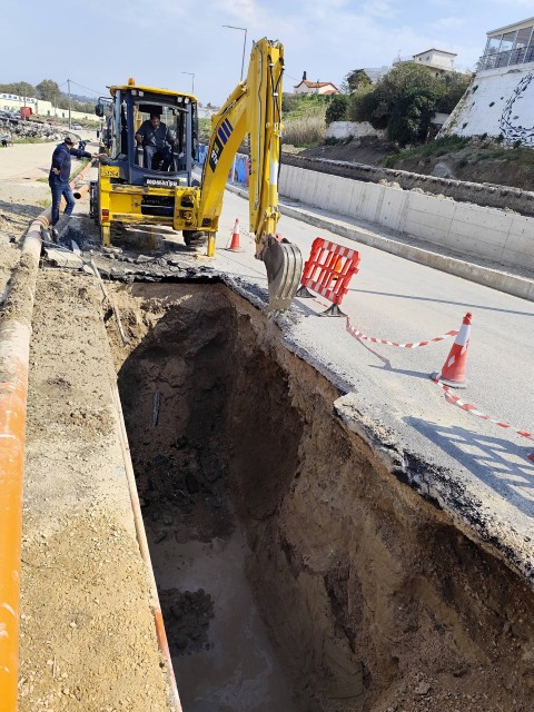 posidinia paoxeteysi