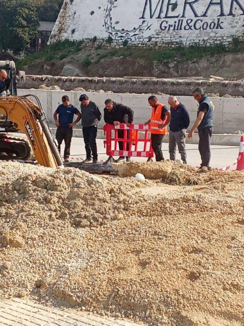 posidinia paoxeteysi1