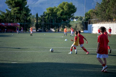 sportbenfica2