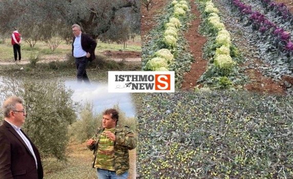 Καταστροφή στην Τενέα από την έντονη χαλαζόπτωση – Στο πλευρό των αγροτών ο Δήμαρχος Κορινθίων Νίκος Σταυρέλης