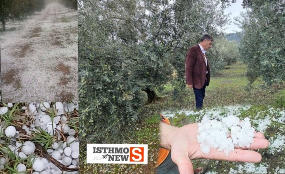 Μεγάλες ζημιές σε καλλιέργειες  Στο πλευρό των αγροτών ο Αντιπεριφερειάρχης Σπύρος Ζαχαριάς