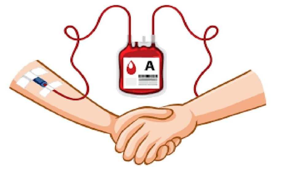 Σεπτέμβριος 2024 | Πρόγραμμα εξορμήσεων Αιμοδοσίας Κορίνθου 