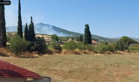 Συναγερμός στην Αρχαία Νεμέα – Μεγάλη πυρκαγιά σε εξέλιξη