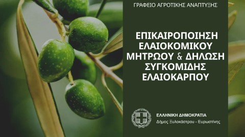 Δήμος Ξυλοκάστρου - Ευρωστίνης | Ενημέρωση για την Επικαιροποίηση Ελαιοκομικού Μητρώου και Δήλωση Συγκομιδής Ελαιοκάρπου 2025–2026