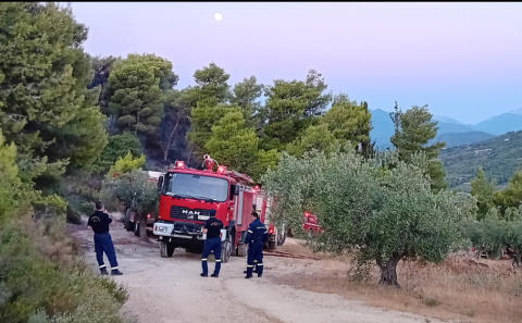 Αρχαία Νεμέα – Μεγάλη ανακούφιση προκαλεί η σχεδόν πλήρης κατάσβεση της πυρκαγιάς