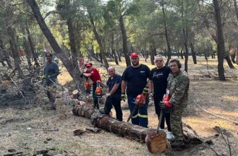 Εργασίες Αποκατάστασης μετά την Πτώση Δέντρων στο Πάρκο Δεξαμενής
