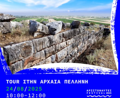 Παιδικές Δραστηριότητες στον Πευκιά!
