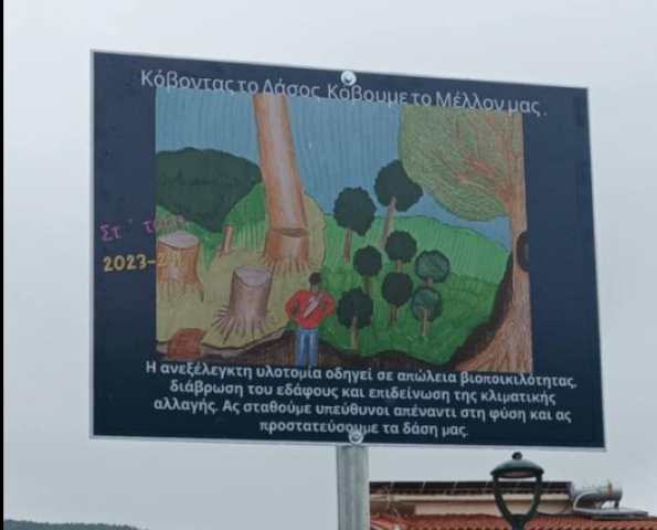 piccasaogalat8