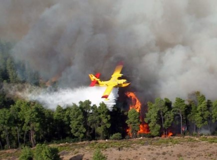 Πυροσβεστικό Σώμα Ελλάδας: 22 αγροτοδασικές πυρκαγιές εκδηλώθηκαν το τελευταίο 24ωρο