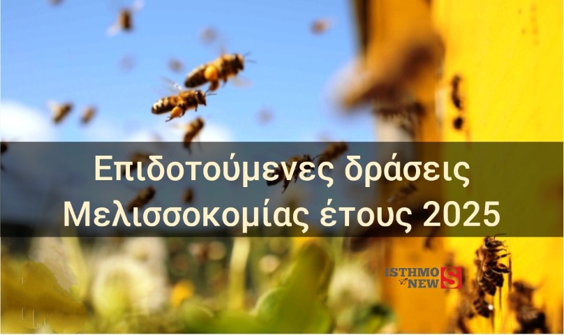 Σπύρος Ζαχαριάς  | Ξεκίνησαν οι επιδοτούμενες δράσεις Μελισσοκομίας έτους 2025 από την Περιφέρεια