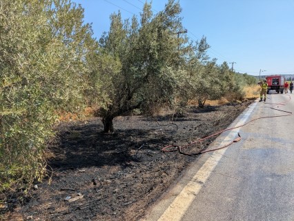vasislisfotiqaargos3