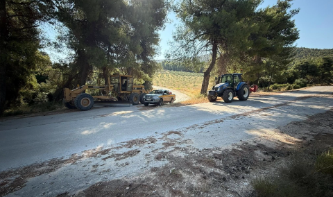 Καθαρισμοί στον δρόμο προς το Παλαιό Μοναστήρι και στον προαύλιο χώρο της Μονής Παναγίας Φανερωμένης